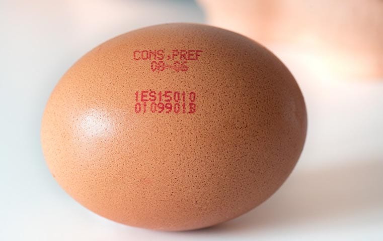 leibinger egg printer 5 1