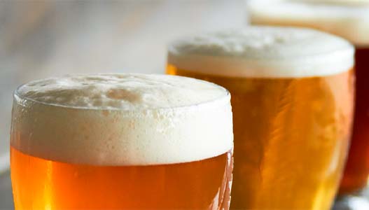 maquinaria industrial elaboracion cerveza proinnova